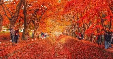 �ձ�ȫ�����Ŷ��ͷ�6��֮��