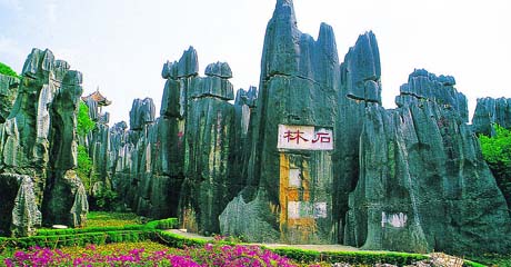 ��������&nbsp;�������&nbsp;����&nbsp;����&nbsp;��˫�������8����