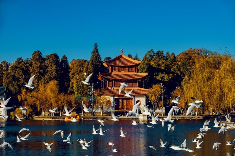 ��������&nbsp;����&nbsp;����&nbsp;������ɰ�����